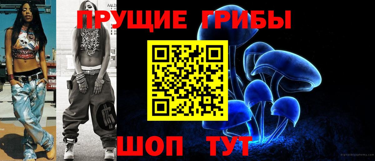 Псилоцибиновые грибы прущие грибы Великие Луки